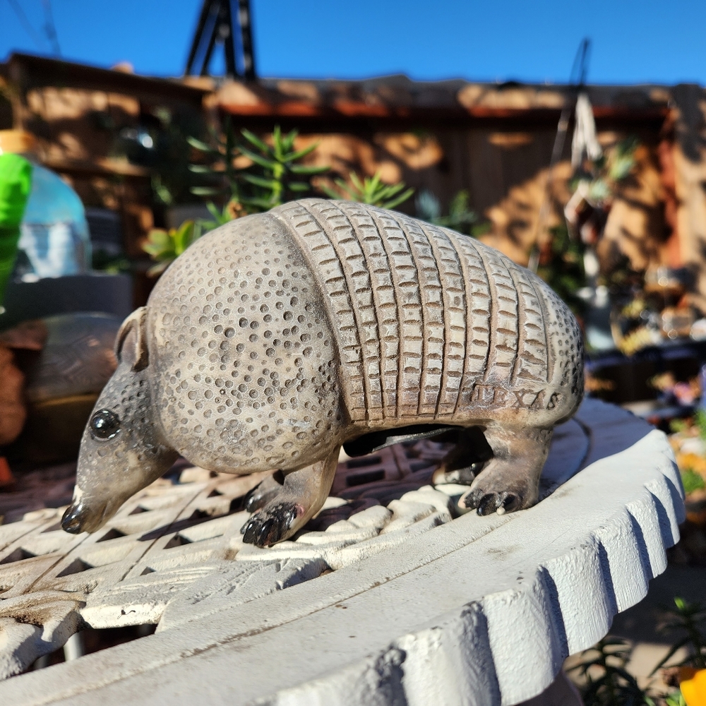 Armadillo Coin Bank
